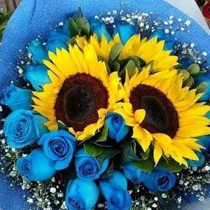 Meet your Posher, Chunyan